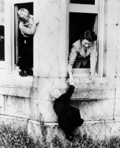 Balmoral: Prince Charles peeping round the corner as he stands on the window sill sees his sister Balmoral: Prince Charles peeping round the corner as he stands on the window sill sees his sister
