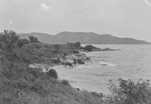 Belgian Congo Rwanda, The banks of Lake Kivu August 1921 Belgian Congo Rwanda, The banks of Lake Kivu August 1921