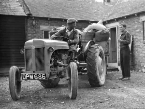 Bryckden Place Farm, Waldron Sussex, is a perfectly run farm with the most modern dairy a Bryckden Place Farm, Waldron Sussex, is a perfectly run farm with the most modern dairy a