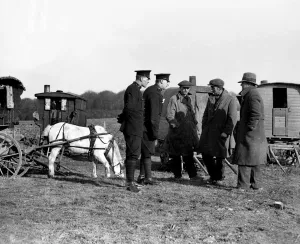 Gipsies, or rather what to do with them, have always been a great problem in the Gipsies, or rather what to do with them, have always been a great problem in the
