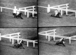 The Grand Nationals most dramatic moments as the Queen Mothers horse Devon Loch The Grand Nationals most dramatic moments as the Queen Mothers horse Devon Loch