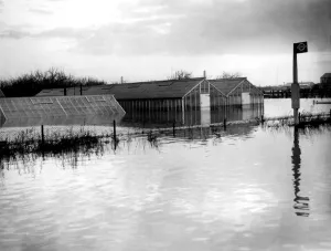 Greenhouses were flooded out in the great floods along the path of the Thames in Greenhouses were flooded out in the great floods along the path of the Thames in