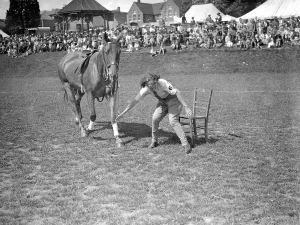Haywards Heath Horticultural Societys Summer show, Victoria Park, Haywards Heath, Sussex Haywards Heath Horticultural Societys Summer show, Victoria Park, Haywards Heath, Sussex