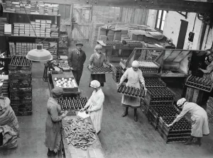 Manufacture of cork balls at Chingford General view of the house 28 November 1922 Manufacture of cork balls at Chingford General view of the house 28 November 1922