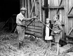 Mr Jimmy Burrows the farmhand on Westwood Farm, Westerham, Kent, showing the flail Mr Jimmy Burrows the farmhand on Westwood Farm, Westerham, Kent, showing the flail