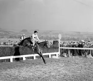 Pat Taaffe on Irish-trained Arkle takes the last fence ahead of English champion Mill House Pat Taaffe on Irish-trained Arkle takes the last fence ahead of English champion Mill House