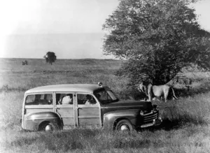 Princess Elizabeth is the toast of the white hunters of East Africa. Armed with Princess Elizabeth is the toast of the white hunters of East Africa. Armed with