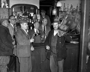 Watched by customers and the landlord Mr H Mills pouring out beer Ginger a 9 year Watched by customers and the landlord Mr H Mills pouring out beer Ginger a 9 year
