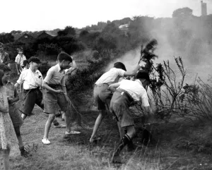 Youngsters helping to quell a gorse fire on Dartford Heath, Kent. 1937 Youngsters helping to quell a gorse fire on Dartford Heath, Kent. 1937