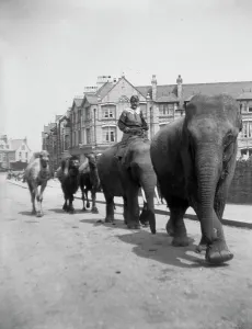 Cliff Road, Newquay, Cornwall. Early 1900s Cliff Road, Newquay, Cornwall. Early 1900s