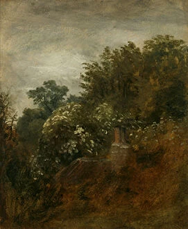 Still life artwork Collection: House in the Trees at Hampstead, John Constable (1776-1837)