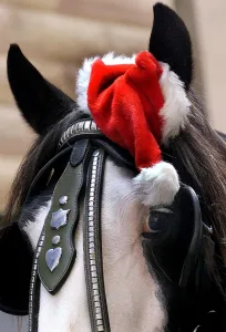 Australia-Christmas-Horse with Hat Australia-Christmas-Horse with Hat