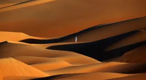 Correctiong-Uae-Camel-Desert-Nature-Tourism Correctiong-Uae-Camel-Desert-Nature-Tourism