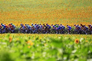 Cycling-Fra-Tdf-2010-Pack-Postcard Cycling-Fra-Tdf-2010-Pack-Postcard