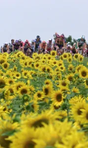 Cyclisme-Tdf2001-Peloton Cyclisme-Tdf2001-Peloton