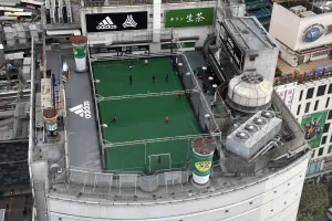 https://www.mediastorehouse.co.uk/t/679/fbl-japan-pitch-landscape-18840209.jpg.webp