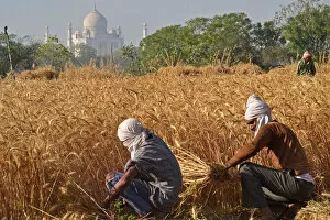 2021 Collection: INDIA-ECONOMY-AGRICULTURE