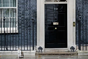 Facade Collection: Larry the Cat, 10 Downing Street