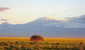 Mount Kilimanjaro Sunset Mount Kilimanjaro Sunset
