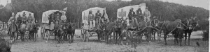 Ambulance Wagons leaving the Plague Hospital in Cape Town Ambulance Wagons leaving the Plague Hospital in Cape Town
