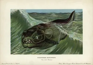 Devonian Placoderm Print