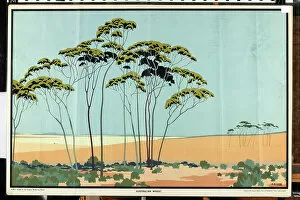 Landscapes Collection: Australian Wheat, from the series Australia's Wealth of Wheat and Wool (colour litho)