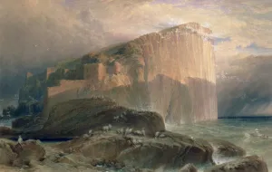 The Bass Rock, East Lothian, 1870 (w/c on paper) The Bass Rock, East Lothian, 1870 (w/c on paper)