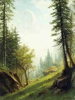 Amidst Collection: Among the Bernese Alps, (oil on canvas tacked over panel)