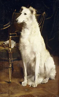 A Borzoi by a Chair, (oil on canvas) A Borzoi by a Chair, (oil on canvas)