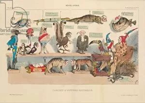 Animal Kingdom Collection: Cabinet d Histoire Naturelle, from La Caricature, pub