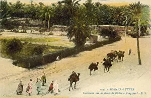 Touggourt Collection: Caravan travelling between Biskra and Touggourt, Algeria (colour photo)