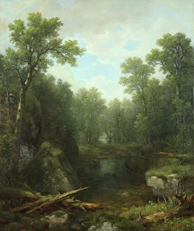 Adirondack Mountains Collection: Chapel Pond Brook, Keene Flats, Adirondack Mountains, New York, 1871 (oil on canvas)