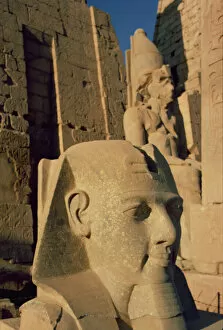 Amon Collection: Colossal head of Ramesses II (1298-32 BC) New Kingdom (photo)