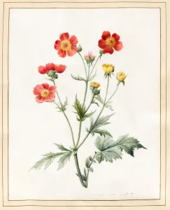 Composite, 1827 (w/c with some bodycolour on vellum) Composite, 1827 (w/c with some bodycolour on vellum)