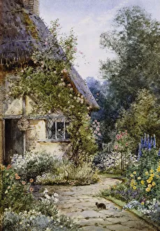 A Cottage Garden with a Cat in the Foreground; and a Cottage Border in Summer A Cottage Garden with a Cat in the Foreground; and a Cottage Border in Summer