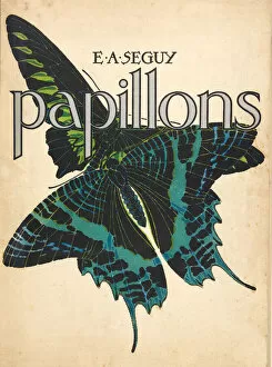 Émile-Allain Séguy Collection: Front Cover from Papillons, pub. 1925 (pochoir print)