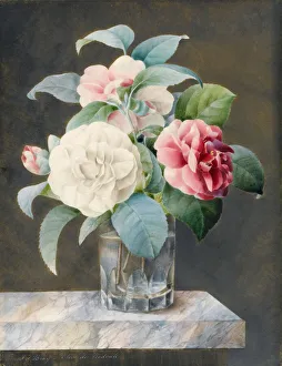 A Cut Glass Vase Containing White, Pink and Red Camelias on a Variegated Marble Slab A Cut Glass Vase Containing White, Pink and Red Camelias on a Variegated Marble Slab