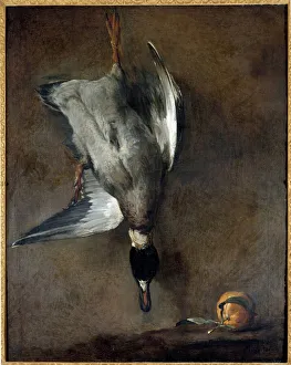The Dead Duck Painting by Jean Baptiste Simeon Chardin (1699-1779) 18th century Gien The Dead Duck Painting by Jean Baptiste Simeon Chardin (1699-1779) 18th century Gien