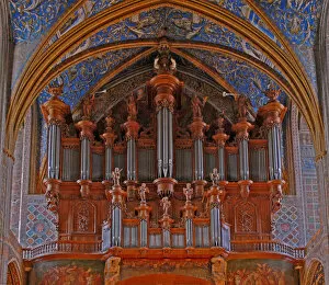 Images Dated 8th December 2012: Depicting the organ