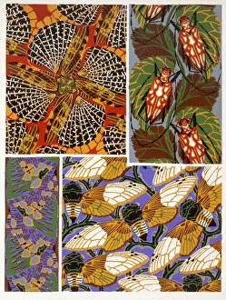Textile Designs, Wallpaper, Endpapers & Marbled Paper Collection: Design with insect motif, 1930s (colour litho)
