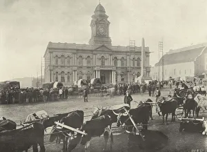 The Early Morning Market, Port Elizabeth (b/w photo) The Early Morning Market, Port Elizabeth (b/w photo)