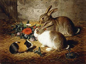 Escaped: Two Rabbits and Guinea Pig, 1880 (oil on canvas) Escaped: Two Rabbits and Guinea Pig, 1880 (oil on canvas)