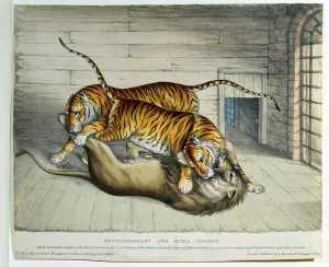 Extraordinary and Fatal Combat, 1830 (coloured litho) Extraordinary and Fatal Combat, 1830 (coloured litho)