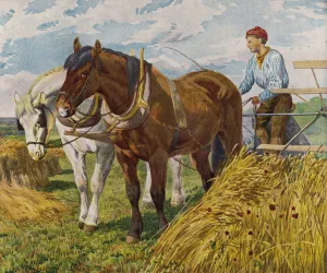 Farmer using a horse-drawn harvester (colour litho) Farmer using a horse-drawn harvester (colour litho)