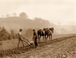 Farmers Ploughing a field on Lealholm Hall Farm, Whitby. c.1889 (photo) Farmers Ploughing a field on Lealholm Hall Farm, Whitby. c.1889 (photo)