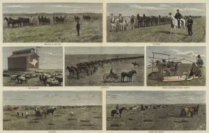Farming on the plains of North America (coloured engraving) Farming on the plains of North America (coloured engraving)