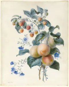 Flowers with Plums and Raspberries on Their Branches (w/c & bodycolour on vellum) Flowers with Plums and Raspberries on Their Branches (w/c & bodycolour on vellum)