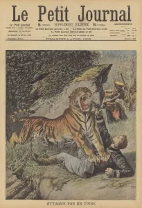 A French colonial administrator attacked by a tiger in Indochina (colour litho) A French colonial administrator attacked by a tiger in Indochina (colour litho)