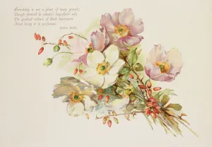 Friendship, Victorian, book illustration of flowers Friendship, Victorian, book illustration of flowers