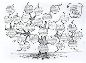 Still life art Collection: Genealogical tree of the Rougon-Macquart family (litho)